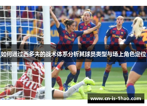 如何通过西多夫的战术体系分析其球员类型与场上角色定位
