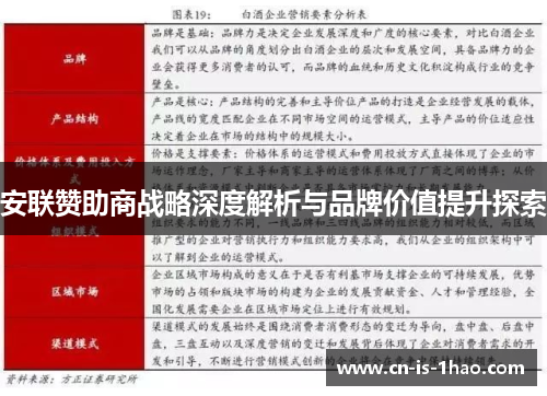 安联赞助商战略深度解析与品牌价值提升探索
