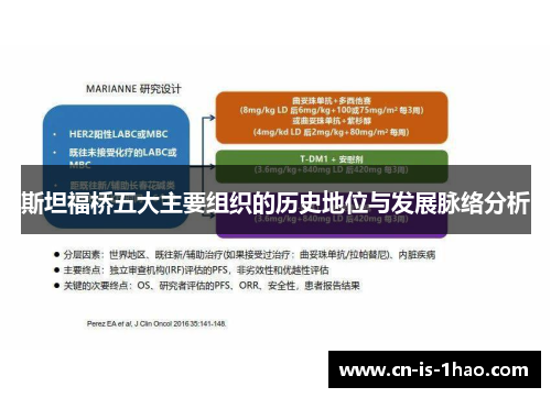 斯坦福桥五大主要组织的历史地位与发展脉络分析