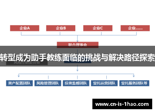 转型成为助手教练面临的挑战与解决路径探索